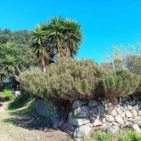 Montes de Cima Vinha Do Gaioヴィラ エクステリア 写真