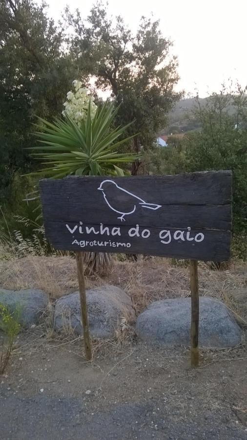Montes de Cima Vinha Do Gaioヴィラ エクステリア 写真